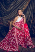 Moslin stone work saree - Image 4