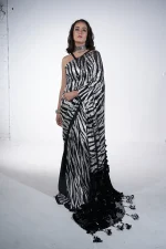 Foil with sequence saree