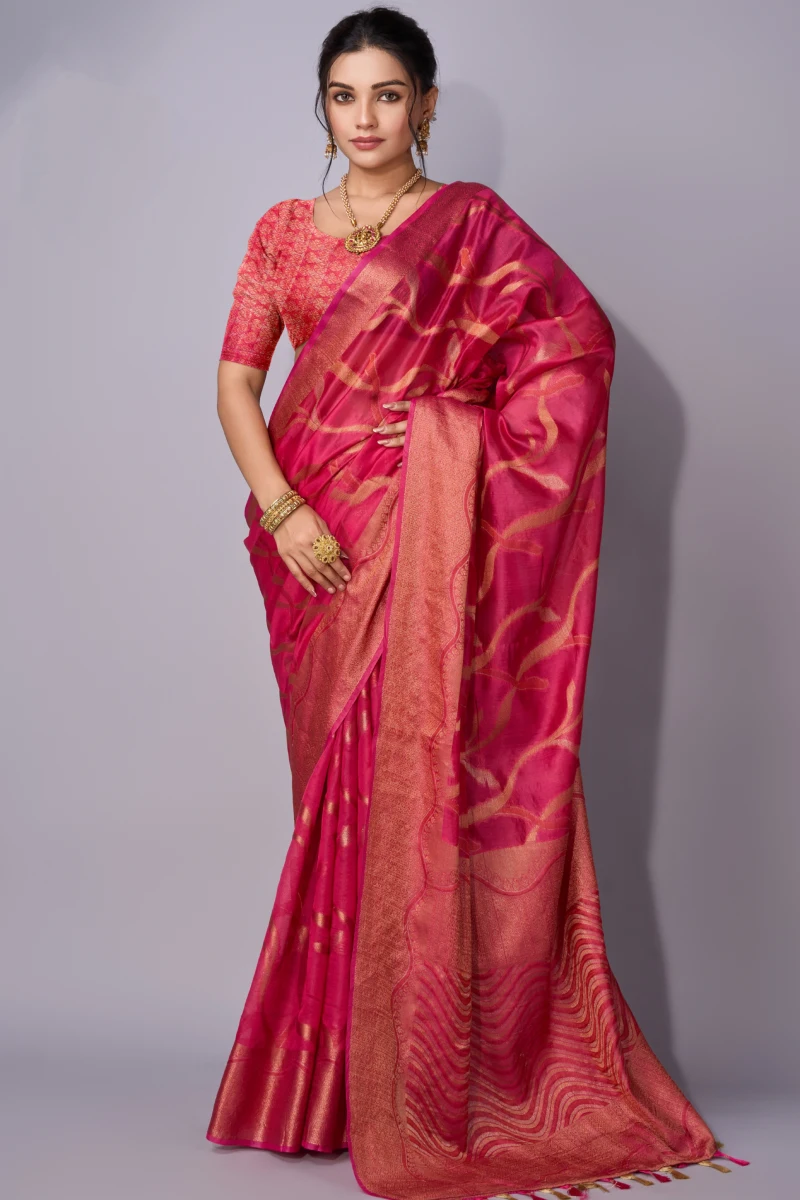 TS-WS0037 Traditional weaving organza saree - Image 1
