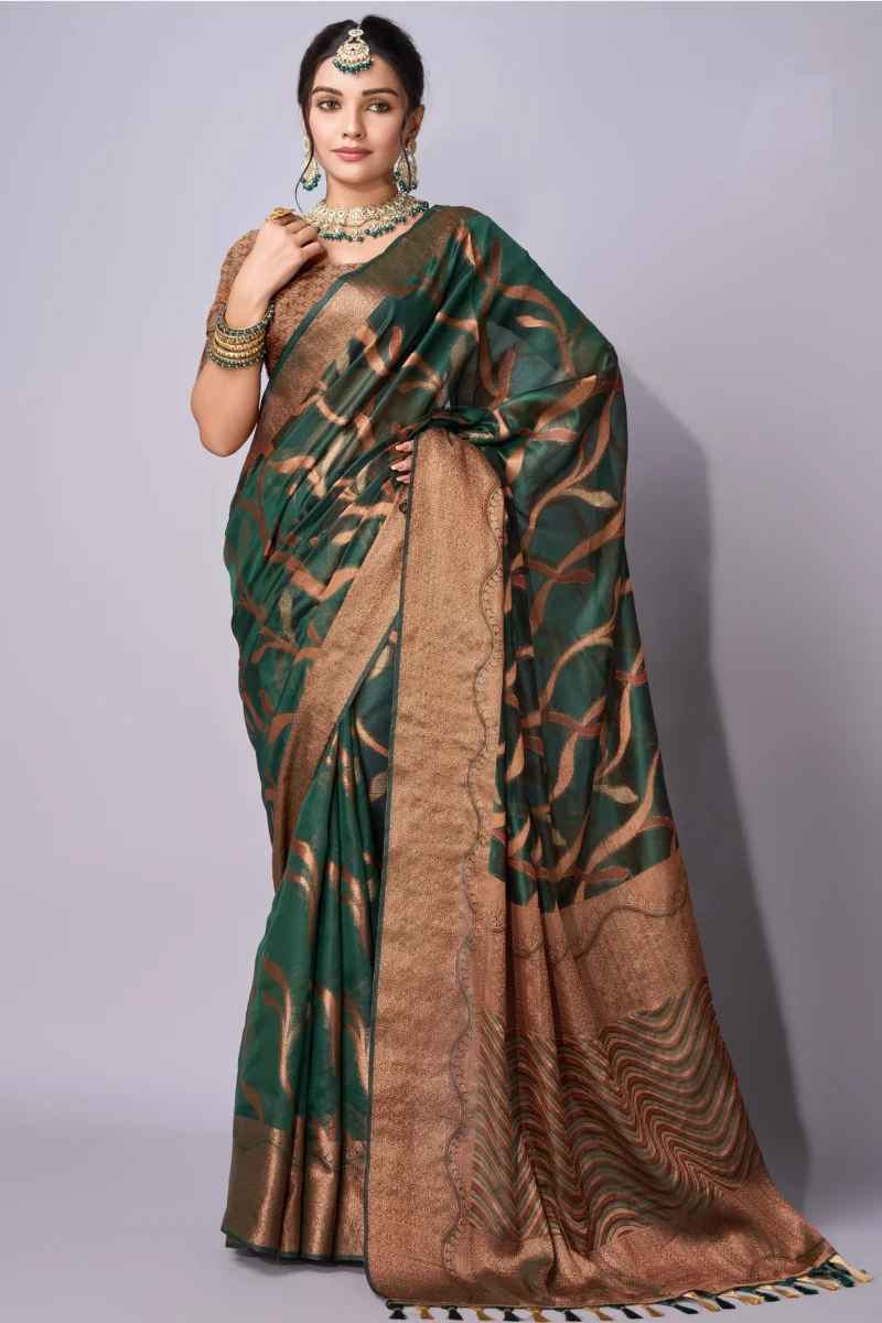 TS-WS0040 Traditional weaving organza saree - Image 1